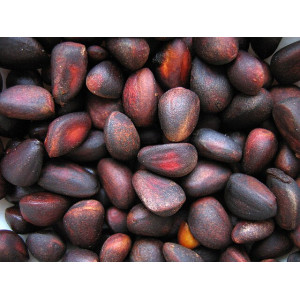 Яка різниця між наливкою та настоянкою?